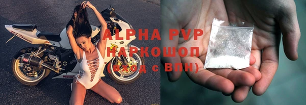 сатива Аркадак