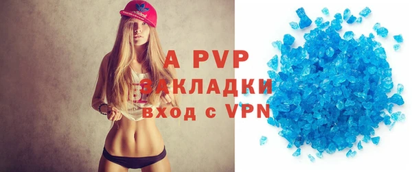 сатива Аркадак