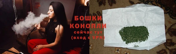 сатива Аркадак