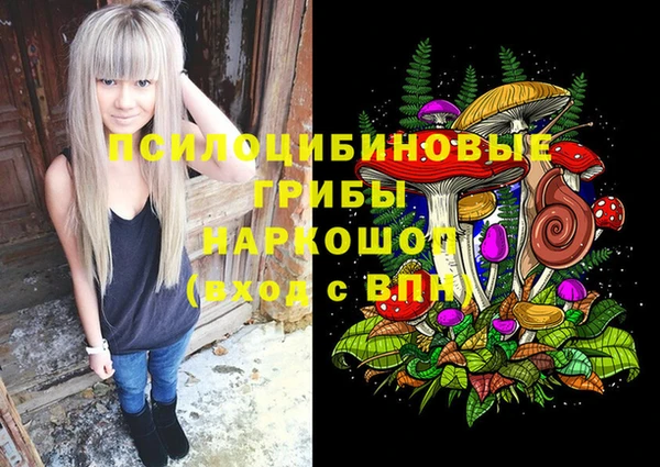 прущий лед Арсеньев