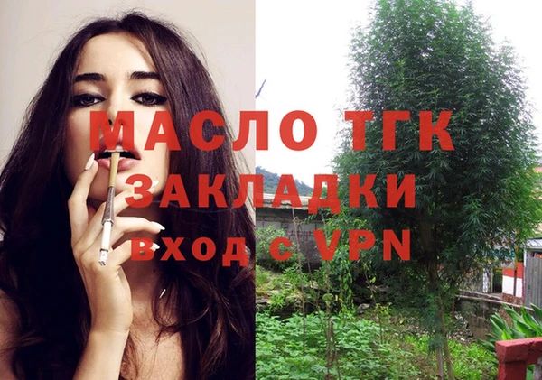сатива Аркадак