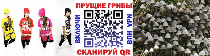 Галлюциногенные грибы MAGIC MUSHROOMS  Очёр 
